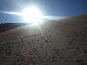 Desert Sun Image